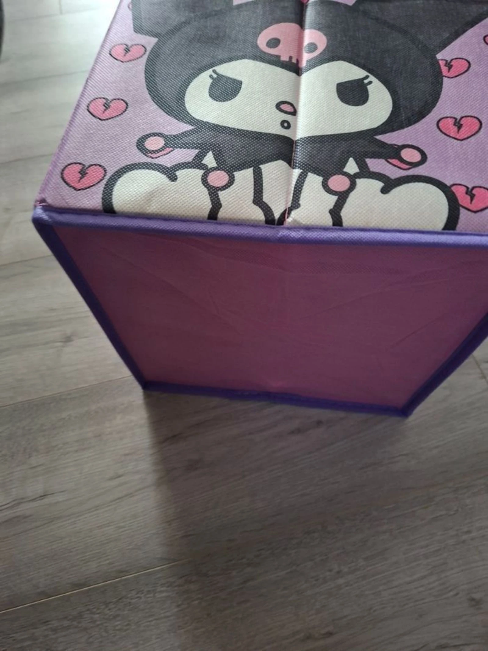 Kuromi – photo 3